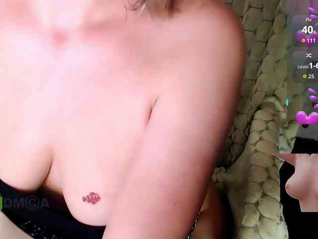 Persiks webcam