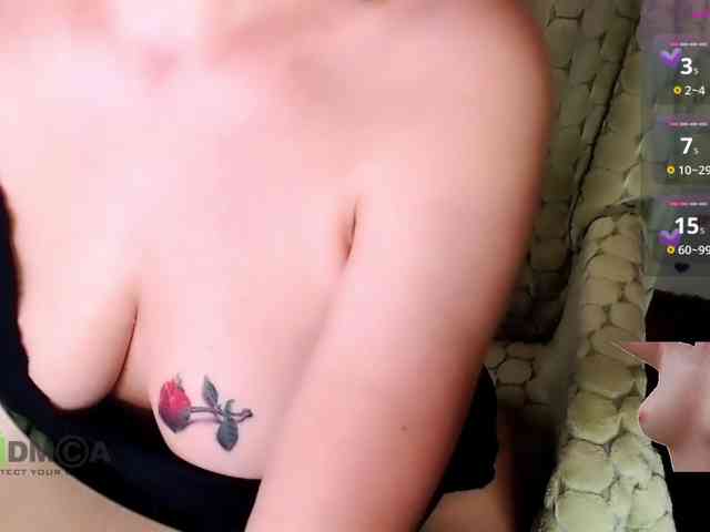 Persiks webcam