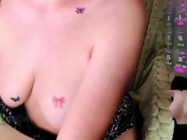 Persiks webcam