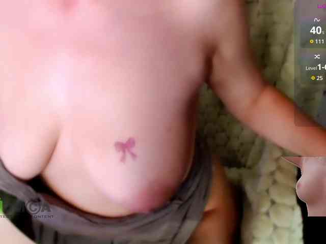 Persiks webcam