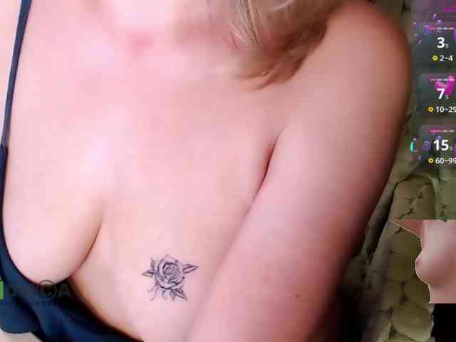 Persiks webcam