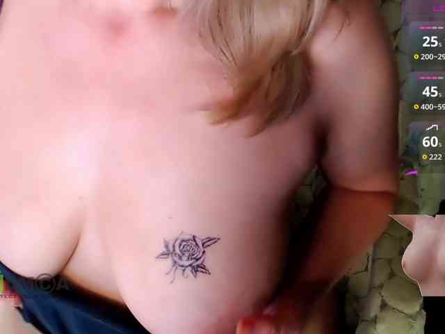 Persiks webcam
