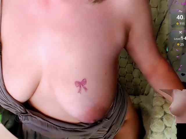 Persiks webcam