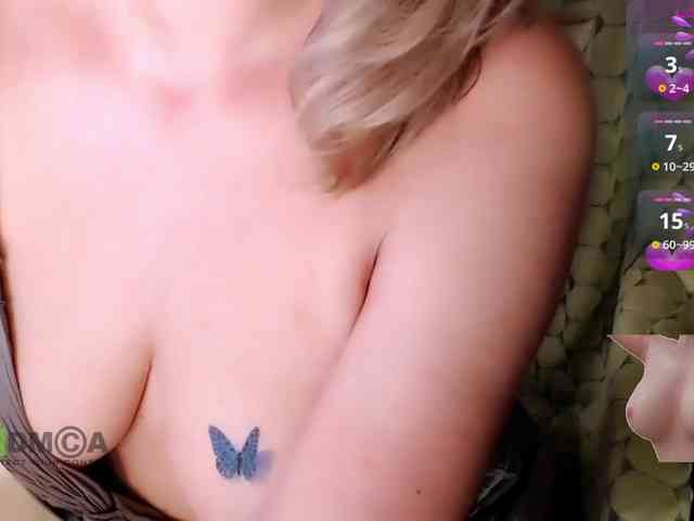 Persiks webcam