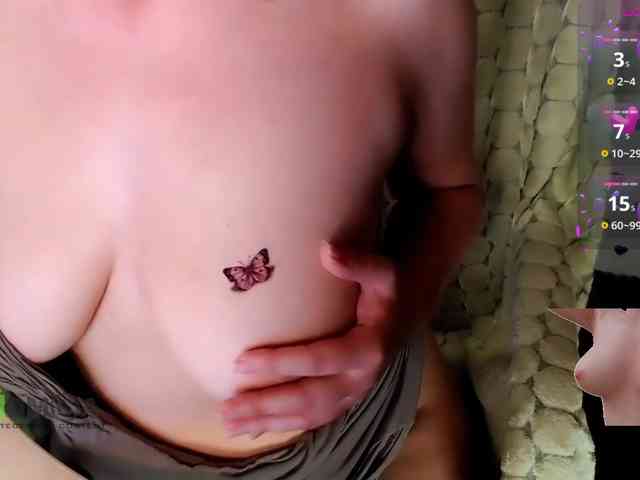 Persiks webcam