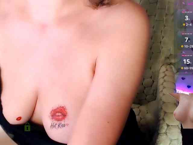 Persiks webcam