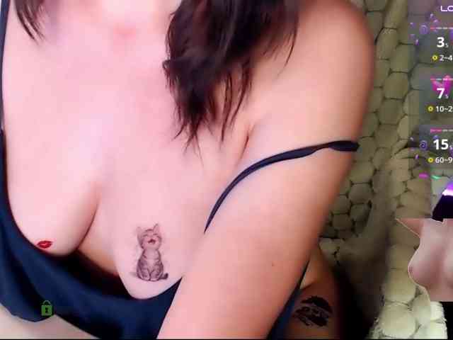 Persiks webcam
