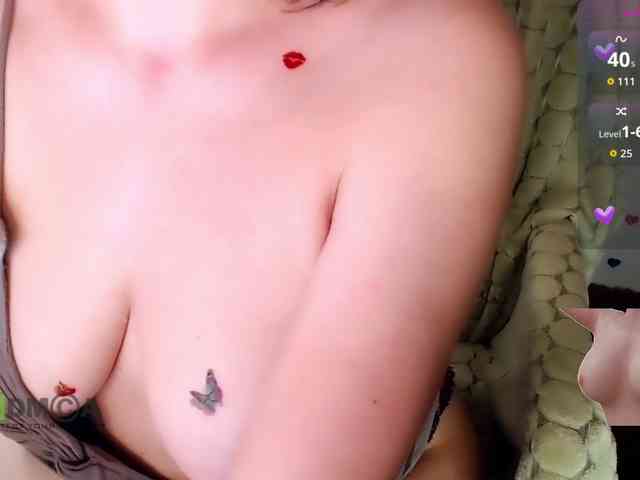 Persiks webcam