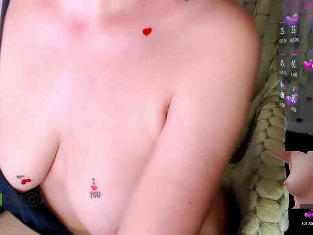 Persiks webcam