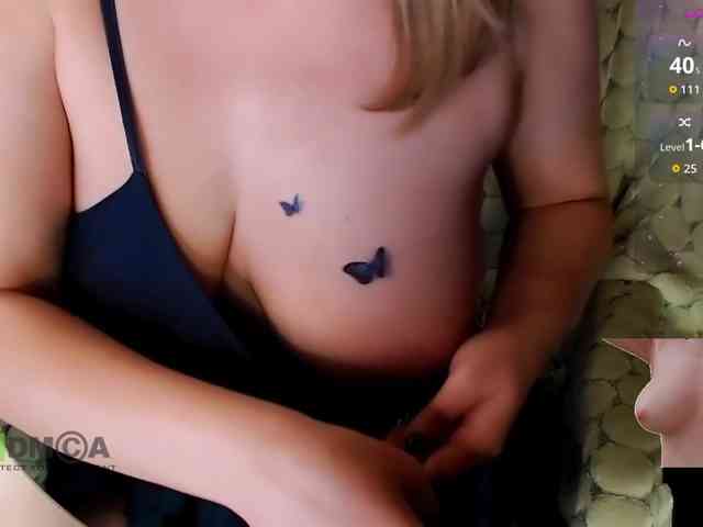 Persiks webcam