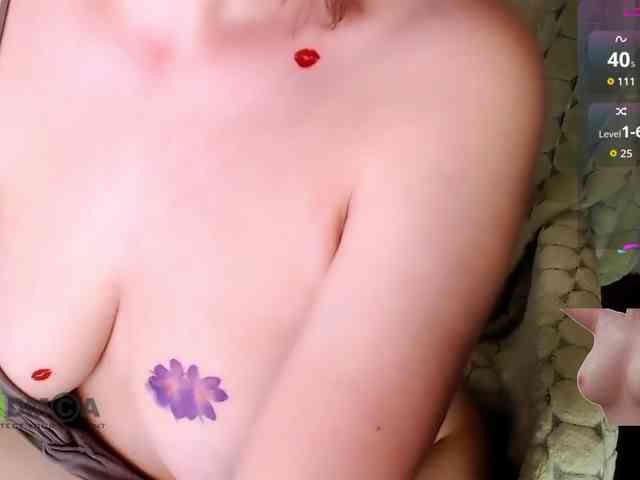 Persiks webcam
