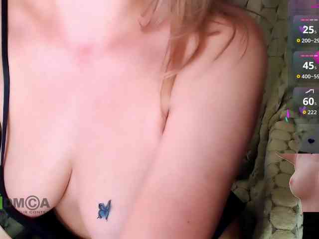 Persiks webcam