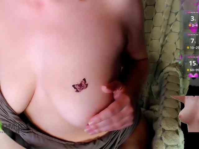 Persiks webcam