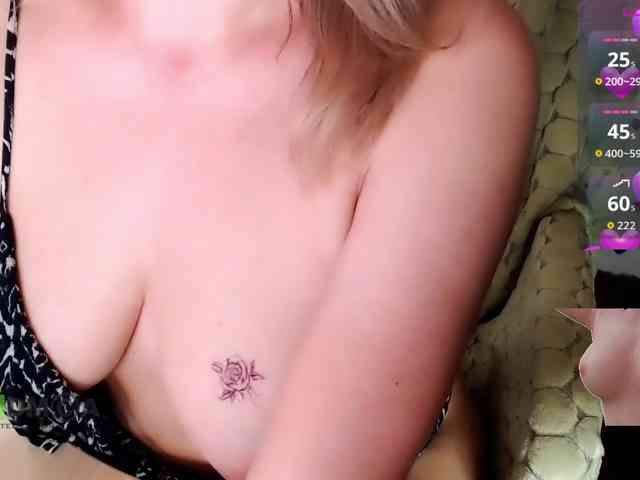 Persiks webcam