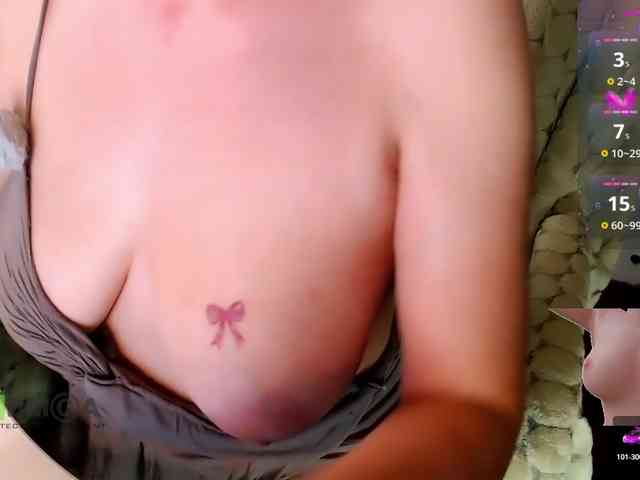 Persiks webcam