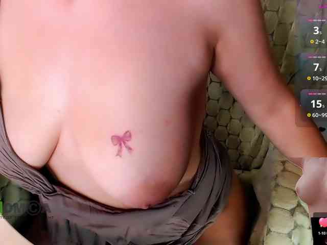 Persiks webcam