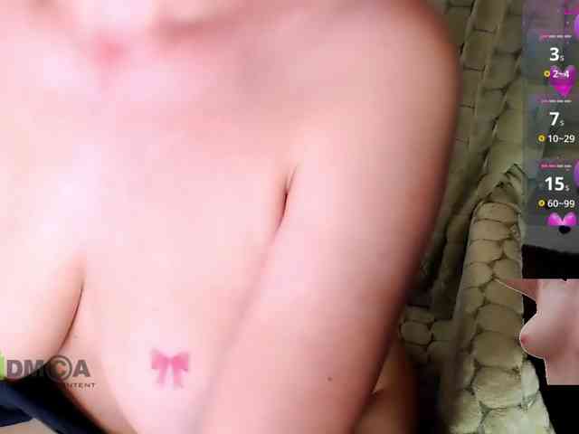 Persiks webcam