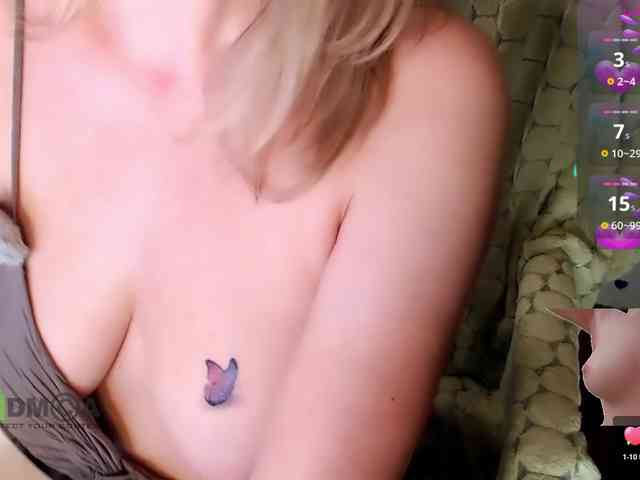 Persiks webcam