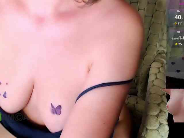 Persiks webcam