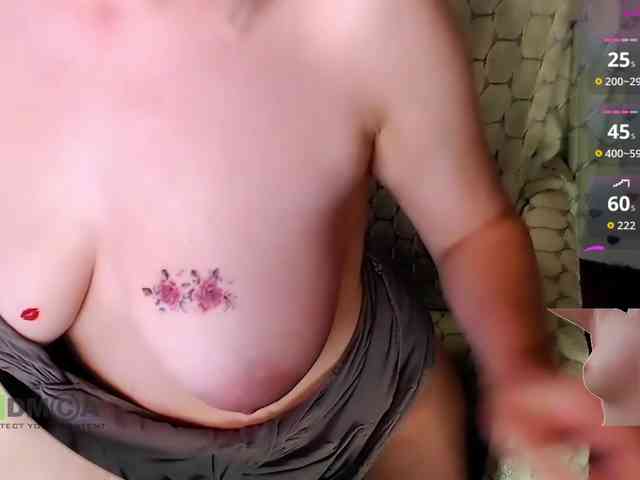 Persiks webcam