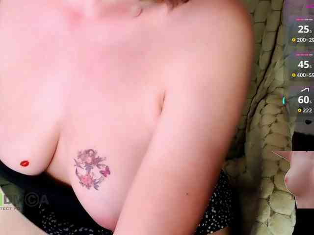 Persiks webcam