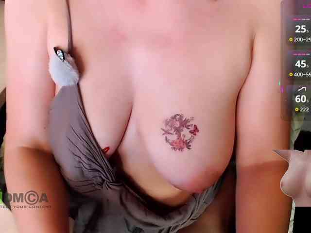 Persiks webcam