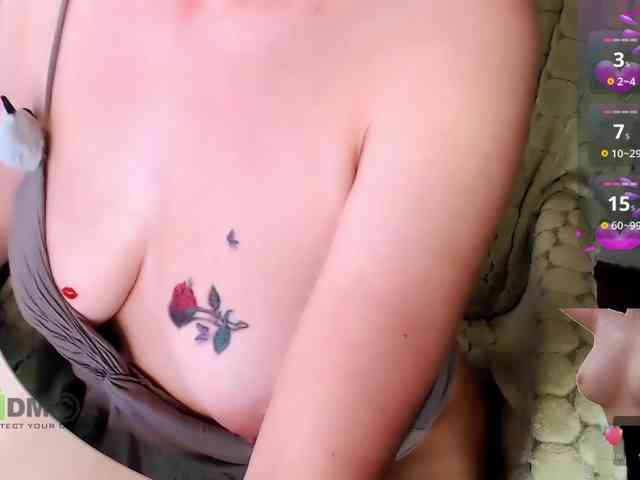 Persiks webcam