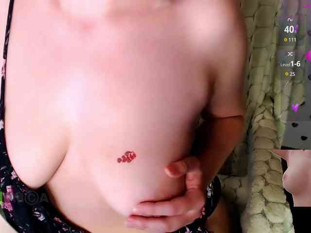 Persiks webcam