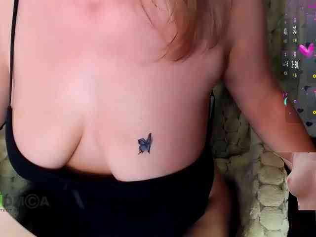Persiks webcam