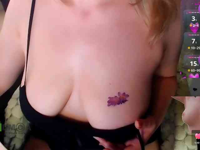 Persiks webcam