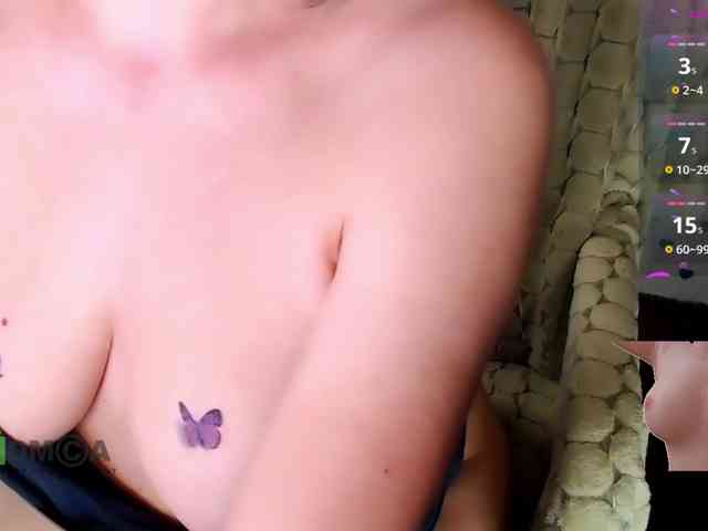 Persiks webcam
