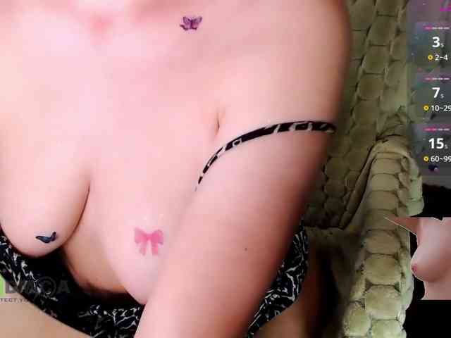 Persiks webcam