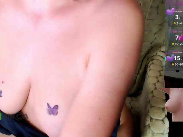 Persiks webcam
