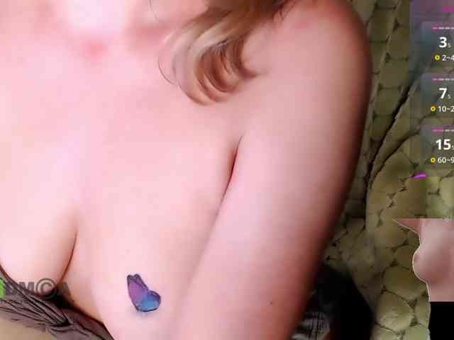Persiks webcam