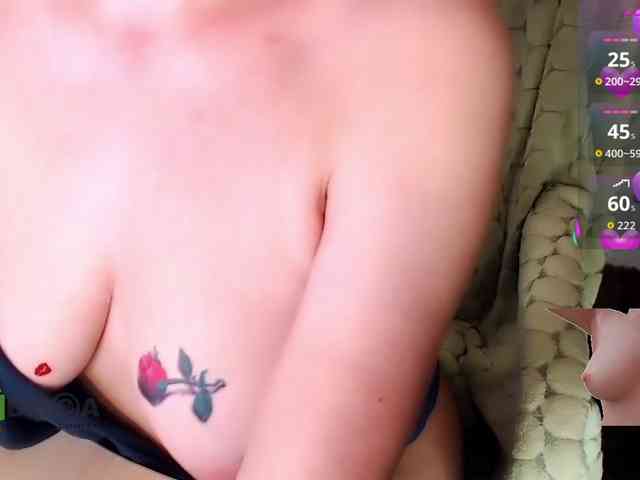 Persiks webcam
