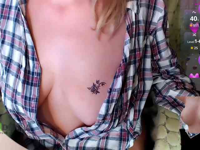 Persiks webcam