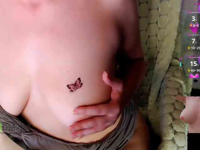 Persiks webcam