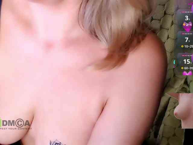 Persiks webcam
