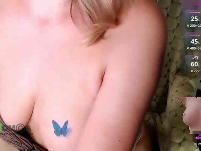 Persiks webcam