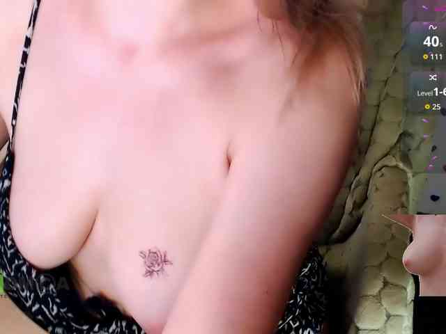 Persiks webcam
