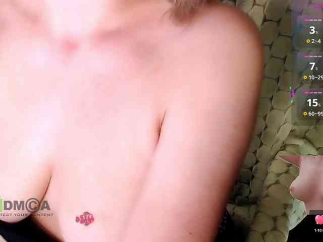 Persiks webcam