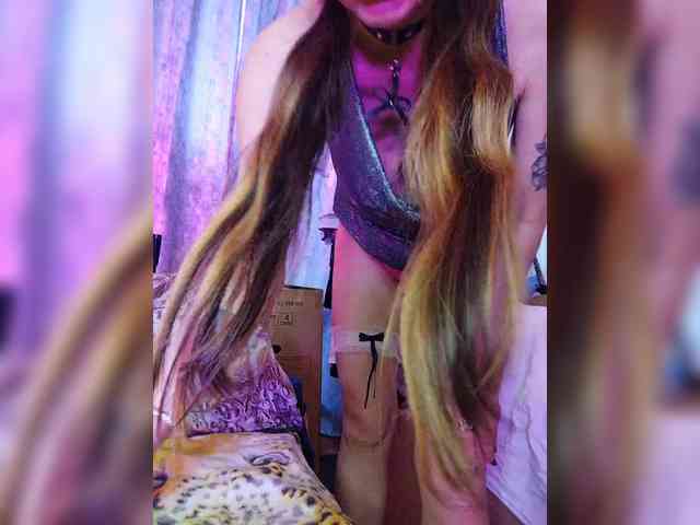 TPAX-B-PRIVATE webcam