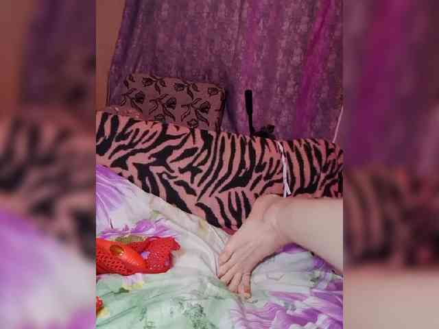 TPAX-B-PRIVATE webcam