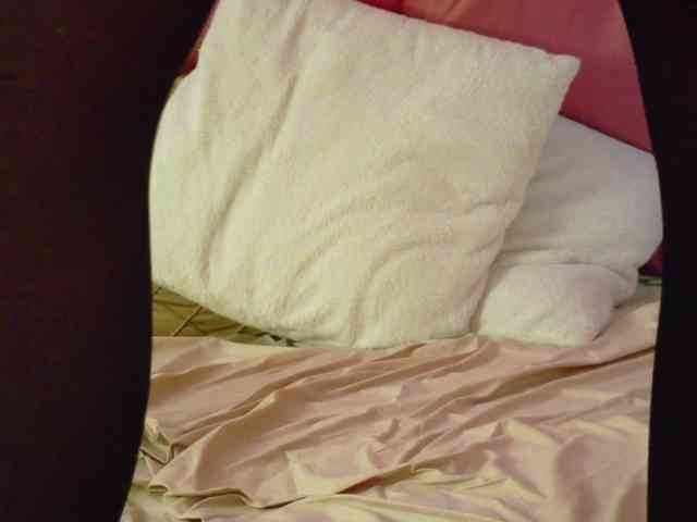 Lexxia webcam