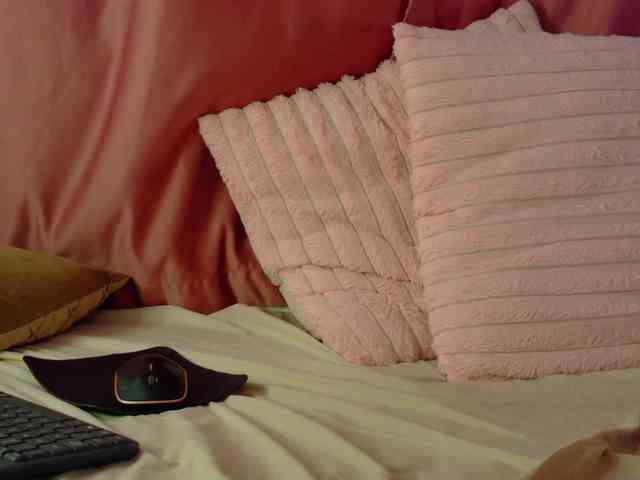 Lexxia webcam