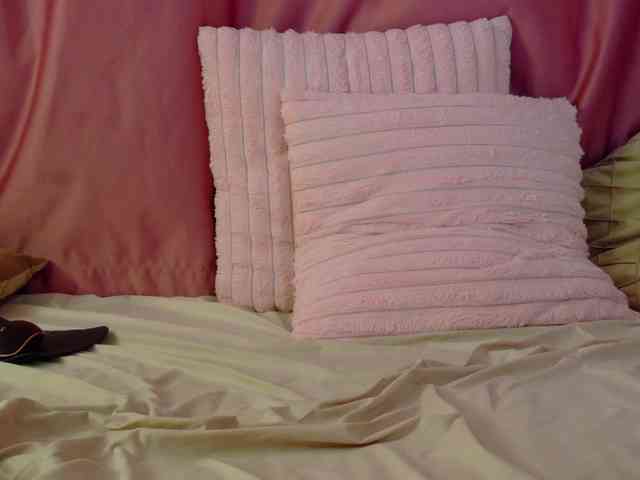 Lexxia webcam