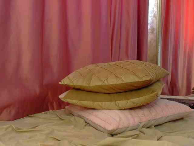 Lexxia webcam