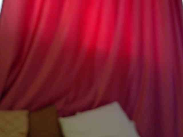 Lexxia webcam