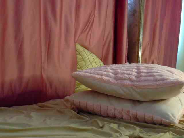 Lexxia webcam