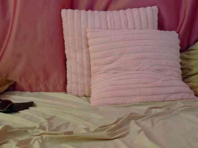 Lexxia webcam
